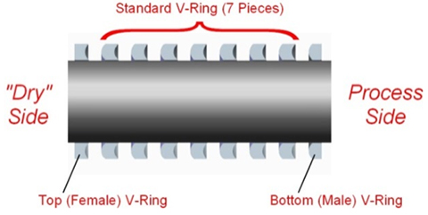 Packing Gland, Products & Suppliers